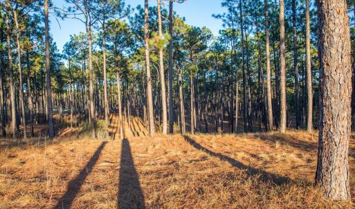 Screen Shot 2023-04-01 at 11.43.49 PM