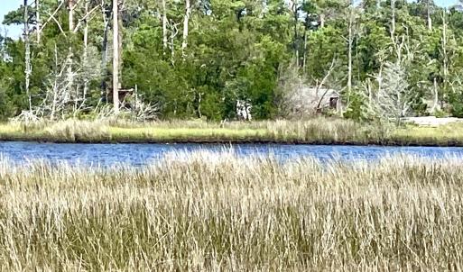 Marsh and creek