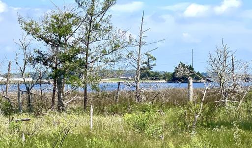 View to Williston Creek