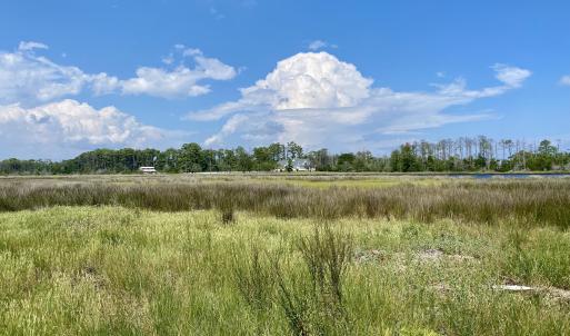 Beautiful surroundings