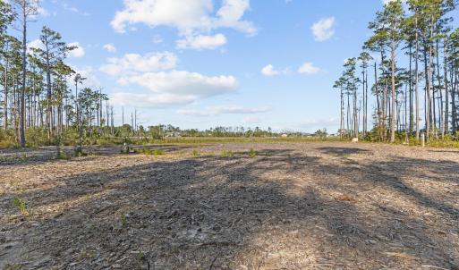 Cleared acreage