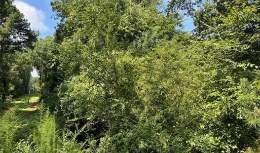 703145FE-E88C-42C3-A109-8FC6F2AB0B83