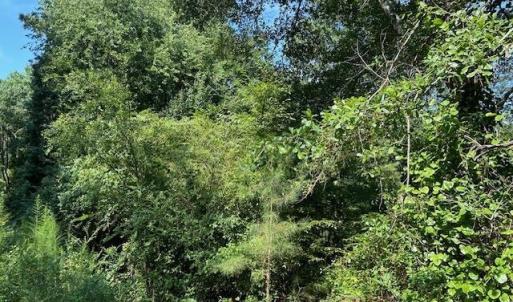 686E768E-583D-45B8-8AF3-EF1B4254C0B8