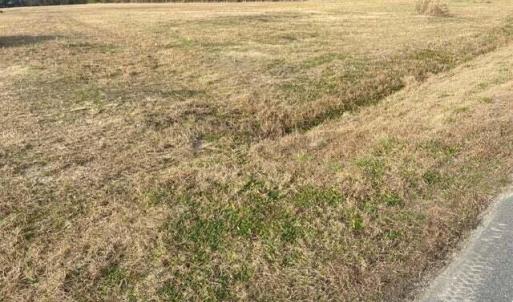 20230112160216925450000000-o