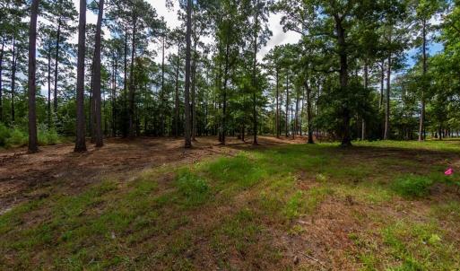 Forestry Mulched & Ready to Build