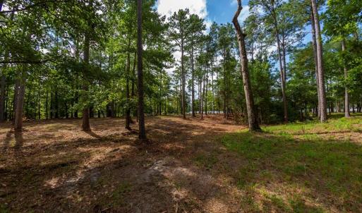 Forestry Mulched & Ready to Build