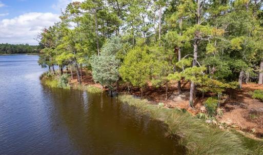 Protected Shoreline