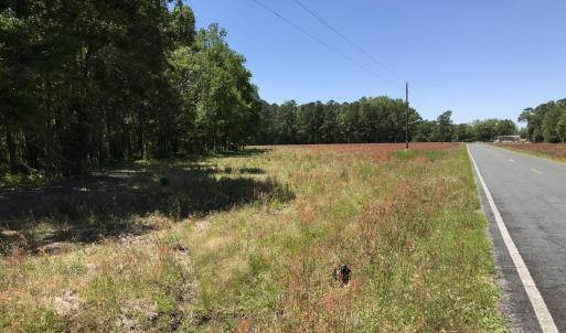 Shuttleworth Lot 3-14.5 ac-1