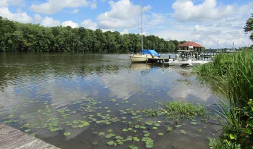 008 View of the Roanoke River