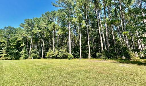 Lot 37 listing (3)