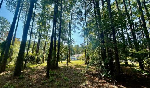 Lot 37 listing (4)