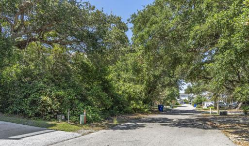 mls-DSC06682