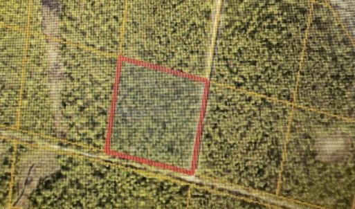 Lot 231 in 1st picture outlined in Red