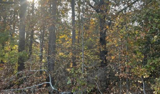 IMG 8149 photo