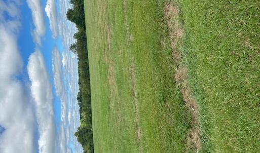 land