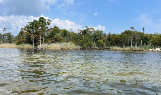 View From Water