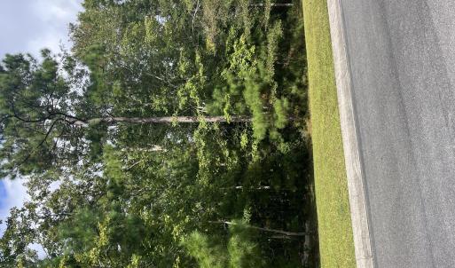 Front view of lot