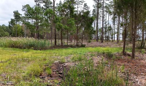 DJI_20240911123518_0077_D