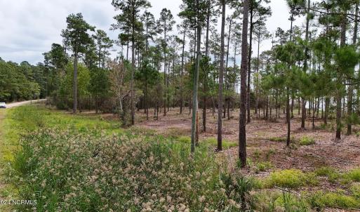 DJI_20240911123532_0078_D