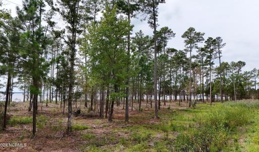 DJI_20240911123634_0080_D