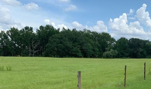 Foster Farm IMG_3283 corrected Front