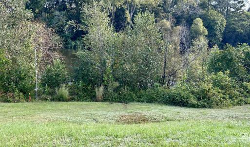 281 Old SR 1801, Scotland Neck, NC 27874