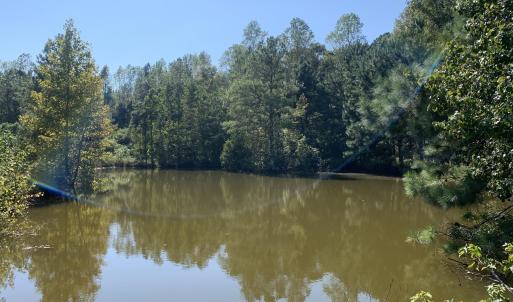 Pond