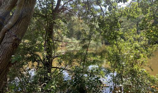 Pond
