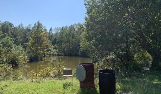 Pond View
