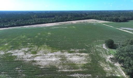 Tract #3 Cowpen Swamp Rd