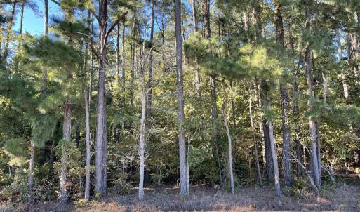 Lot 075