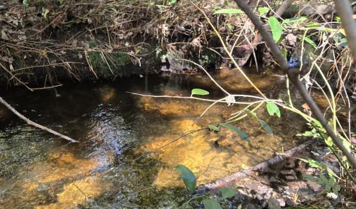 Indian Creek 4