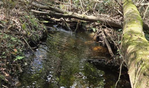 Indian Creek 3