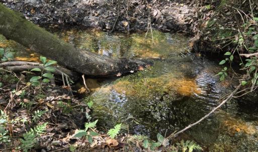 Indian Creek 1