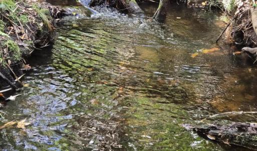 Indian Creek 2