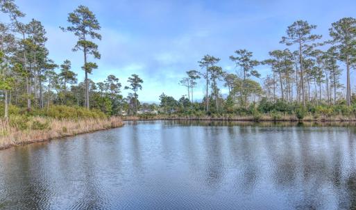DSC_7841_2_3