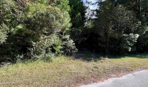 Trail Entrance