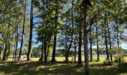 572 Dawson Creek Blvd