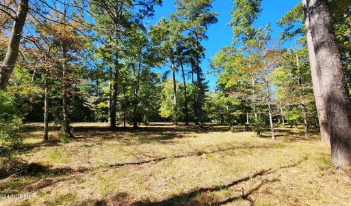 136 Sandy Point Dr