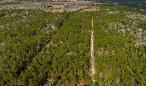 Wildwood Acres View