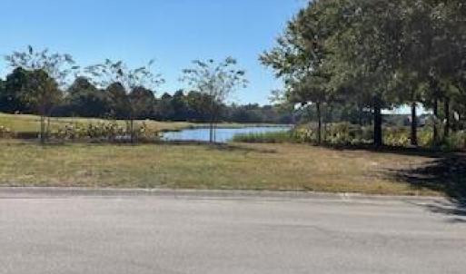 Pond view across street
