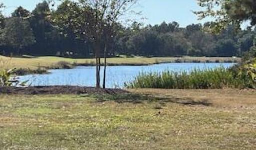 Pond view