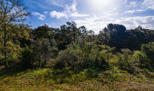 25-web-or-mls-chadwick-visuals-329-windi