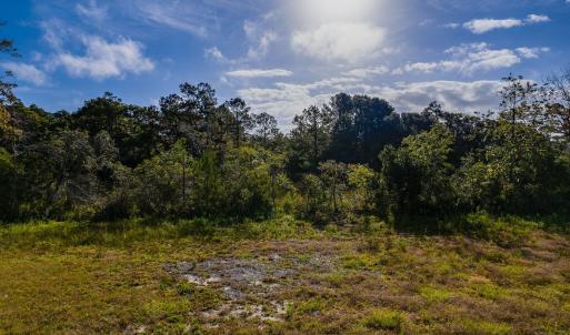 14-web-or-mls-chadwick-visuals-329-windi