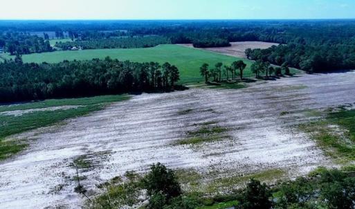 Tract #10 Cowpen Swamp Rd