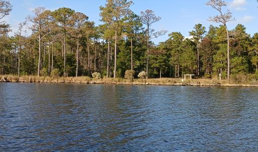 Larger View fr Bay River