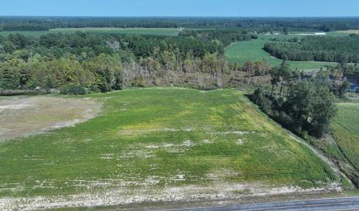 Tract #17 Cowpen Swamp Rd Fairmont NC