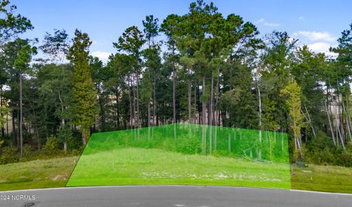 Streetview of the lot