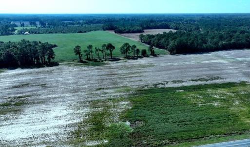 Tract #9 Cowpen Swamp Rd