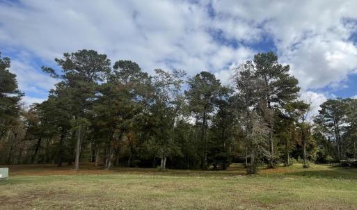 Screenshot 2026-02-20 at 2.57.18PM